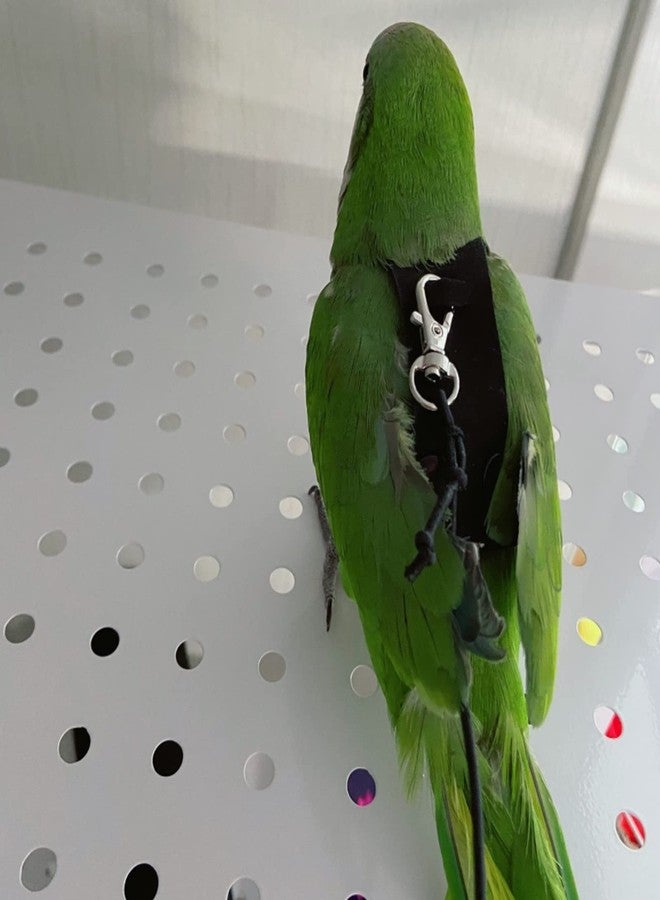 Barn Eleven Bird Flight Harness Vest, Parrot Flight Suit with Leash for Parakeets Cockatiels Conures Budgies, Bird Flying Clothes with Rope and Handle for Outdoor Activities Training, Anti Bite (Small) - Image 5